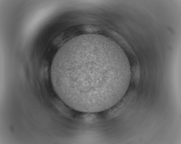 X0000113900762200910151356