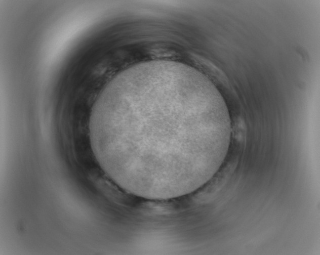 X0000113900763200910151356