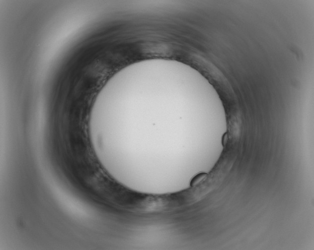 X0000113900764200910151356