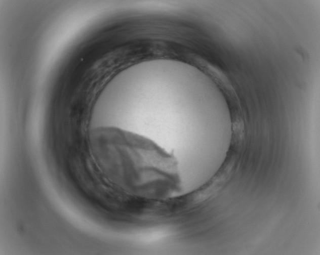 X0000113900765200910151356