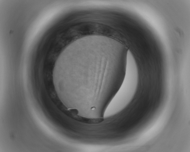 X0000113900766200910151356