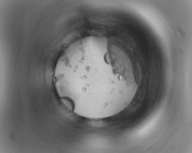 X0000113900767200910151356