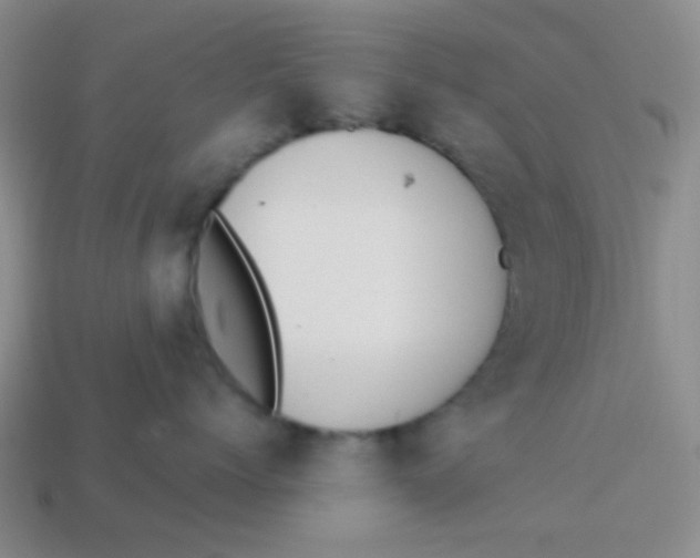 X0000113900768200910151356