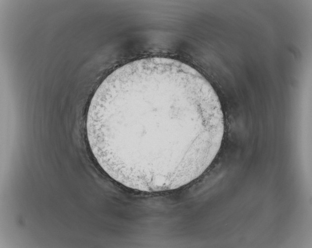 X0000113900769200910151355