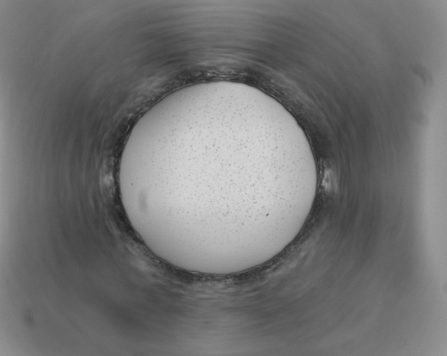 X0000113900771200910151355