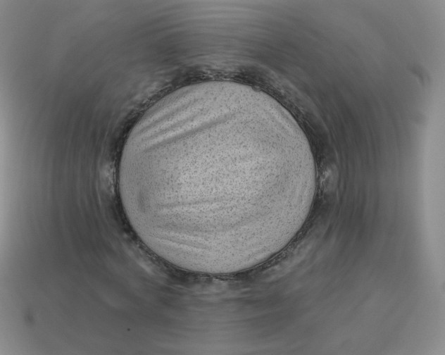 X0000113900772200910151355