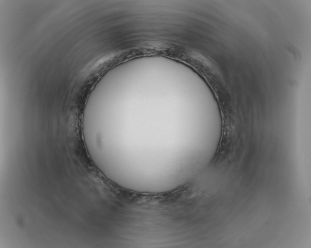 X0000113900773200910151355