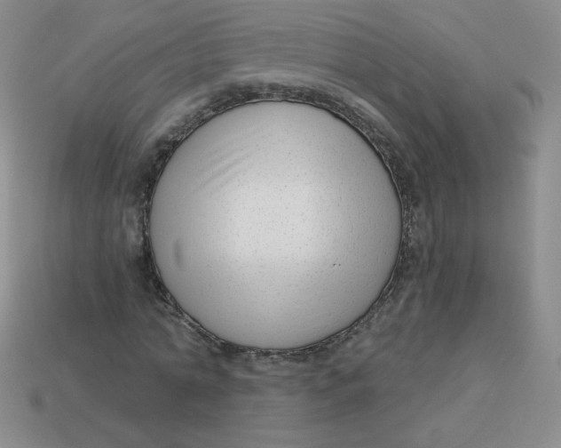 X0000113900774200910151355