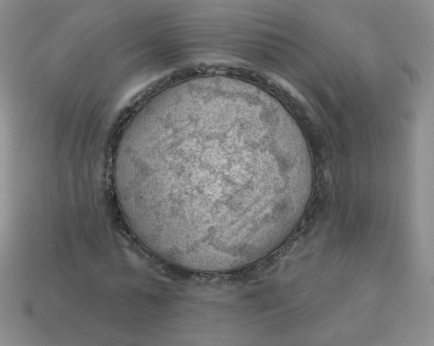 X0000113900775200910151355