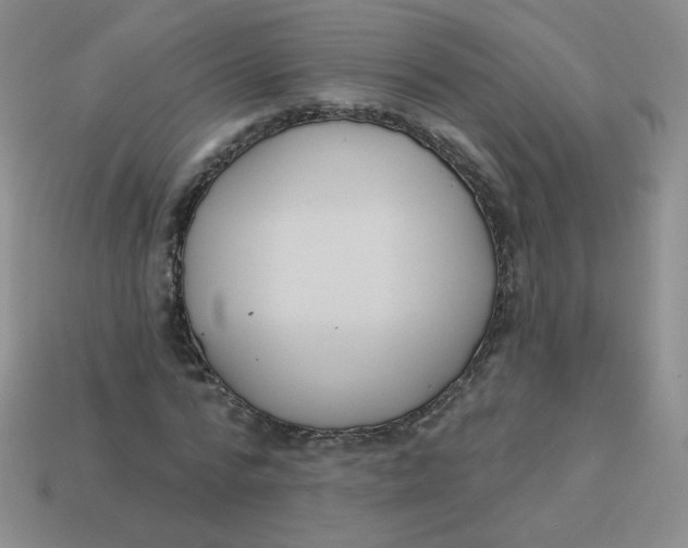 X0000113900776200910151355