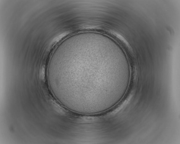 X0000113900777200910151355