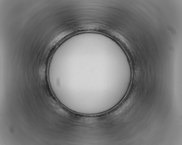 X0000113900778200910151355