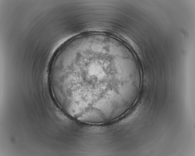 X0000113900779200910151355