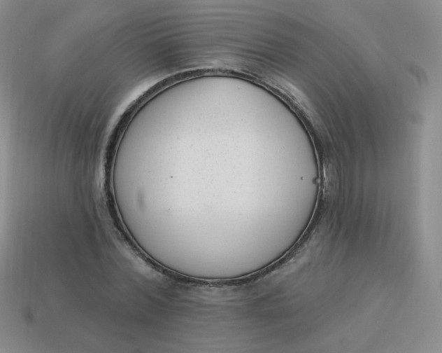 X0000113900780200910151355