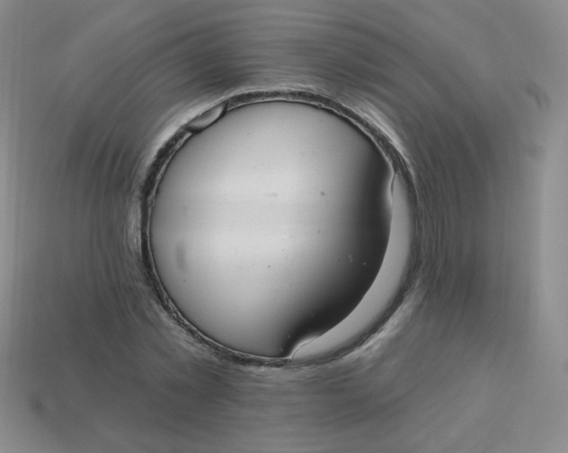 X0000113900781200910151355