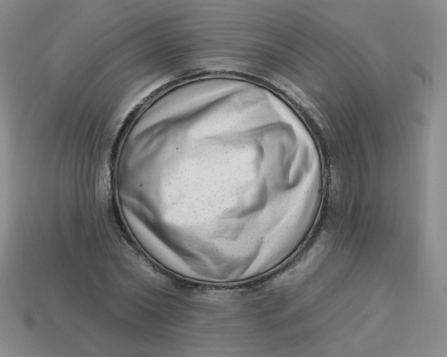 X0000113900782200910151355