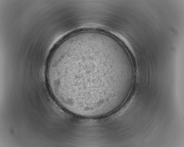 X0000113900783200910151355