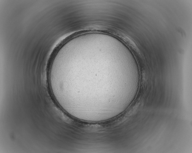 X0000113900784200910151355