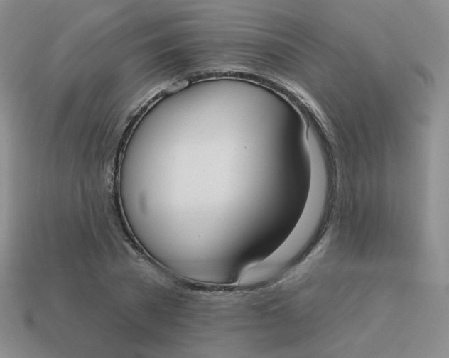 X0000113900785200910151355