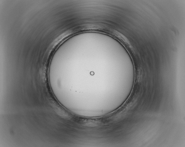 X0000113900786200910151355