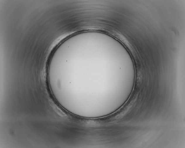 X0000113900787200910151355