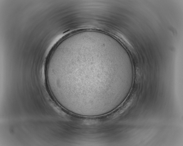 X0000113900788200910151355