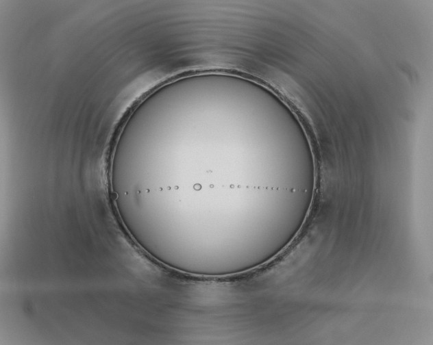 X0000113900789200910151355