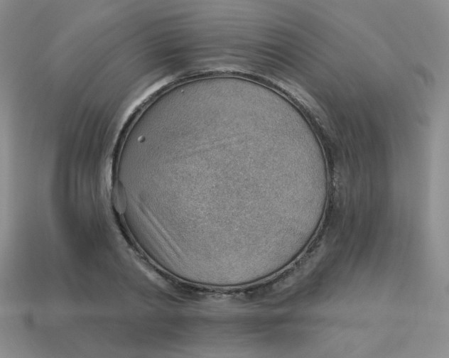 X0000113900790200910151355