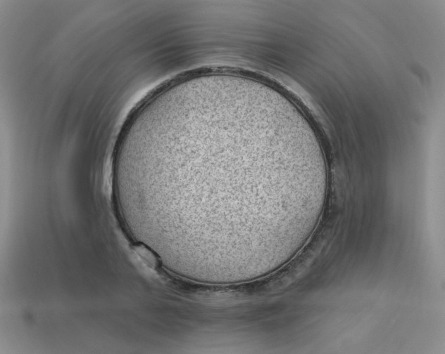 X0000113900791200910151355