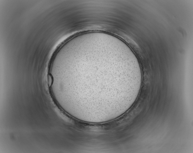 X0000113900792200910151355