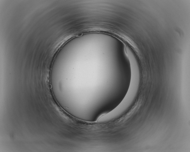 X0000113900793200910151355