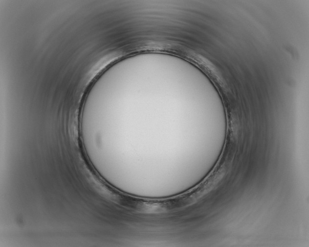 X0000113900794200910151355