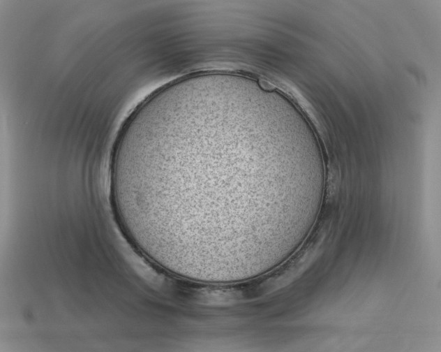 X0000113900795200910151355