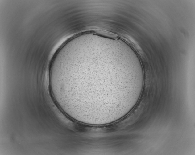 X0000113900796200910151355