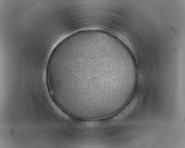 X0000113900797200910151355