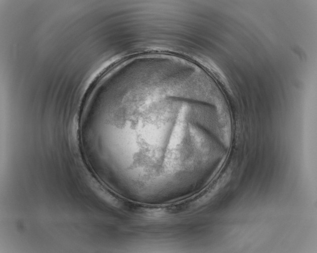 X0000113900798200910151355