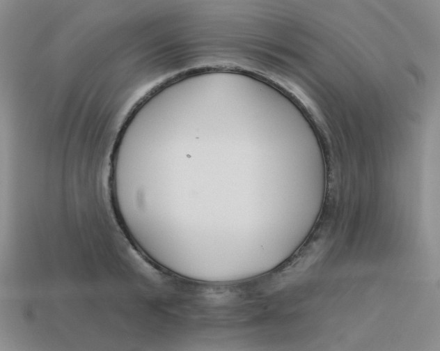 X0000113900799200910151355