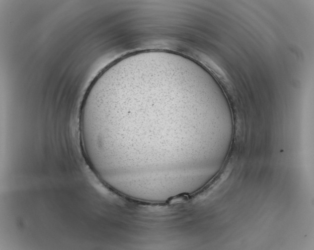 X0000113900800200910151355