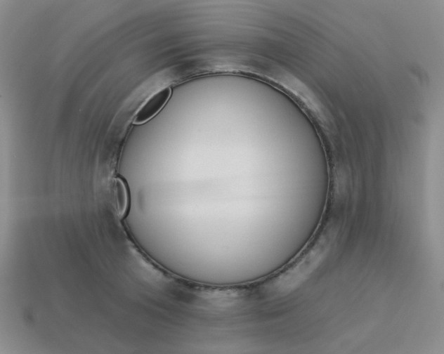 X0000113900801200910151355