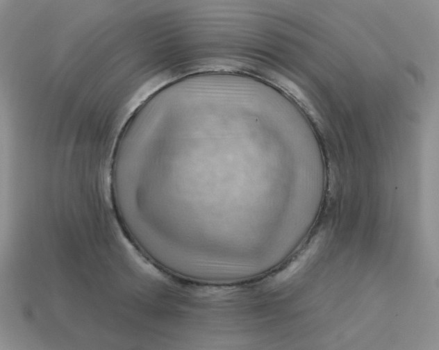 X0000113900802200910151354