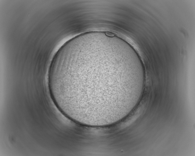 X0000113900803200910151354