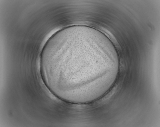 X0000113900804200910151354