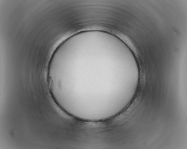 X0000113900805200910151354