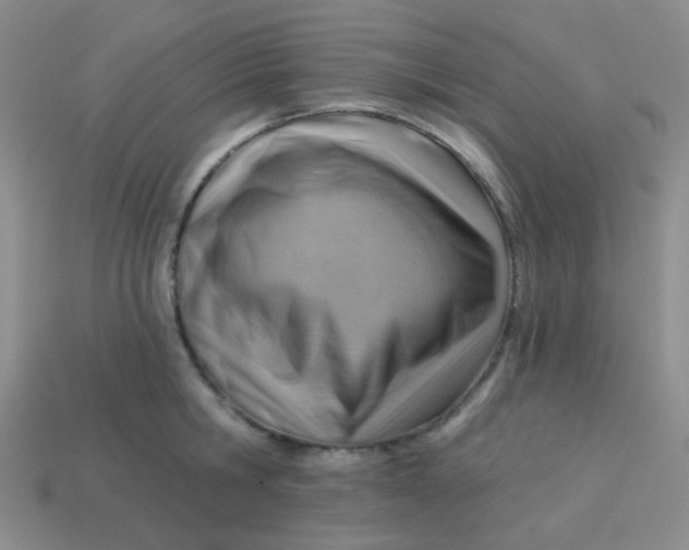 X0000113900806200910151354