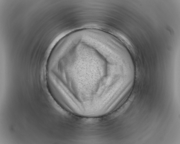 X0000113900808200910151354