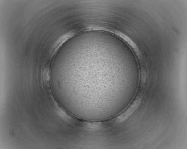 X0000113900809200910151354