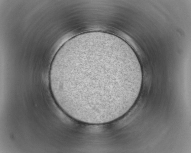 X0000113900810200910151354