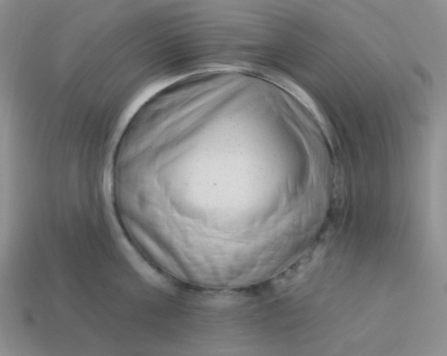 X0000113900811200910151354