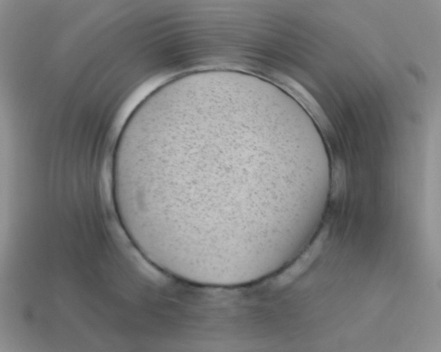 X0000113900812200910151354