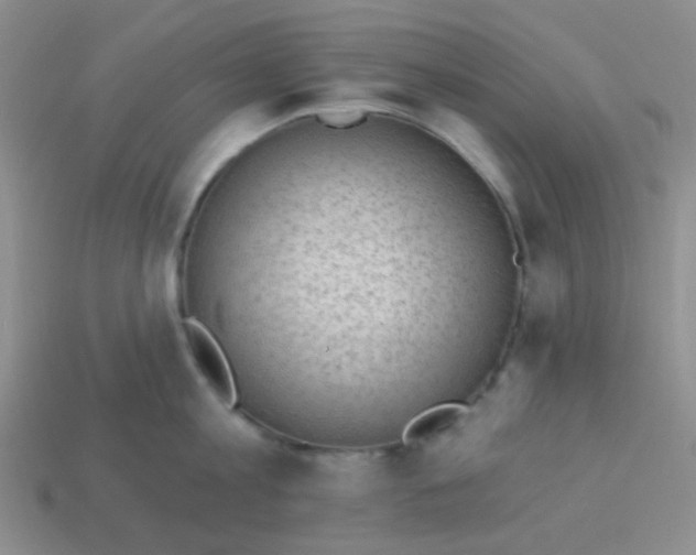 X0000113900813200910151354